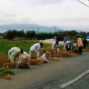 20141006クリーン作戦-1.jpg