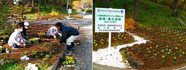 20161114_秋古花植替ボランティア.jpg