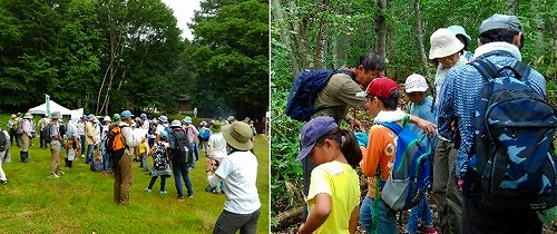 20170811_山の日ウォーキング.jpg