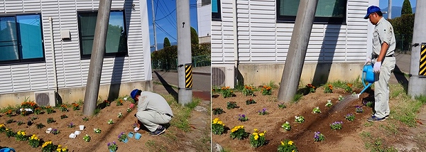 20180622_本社花植替え.jpg