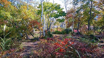 20181030-2.jpg