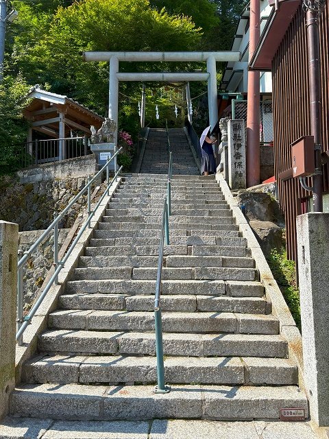 20250723-2.jpg