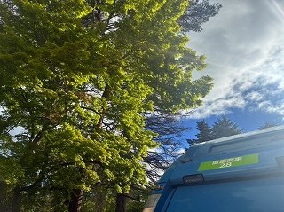 20260527-11.jpg