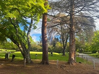 20260527-12.jpg