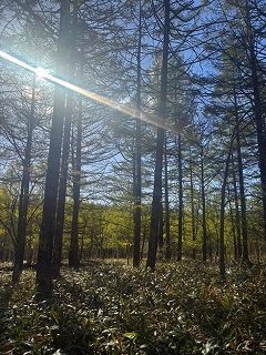20260527-14.jpg