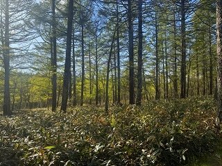20260527-15.jpg